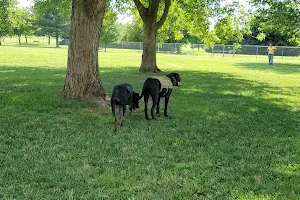 Norlo park - dog park (off-lease) image