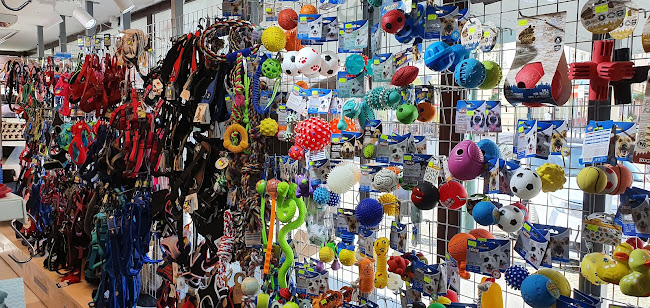 Park handlowy A10, Stanisława Moniuszki 25, 68-200 Żary