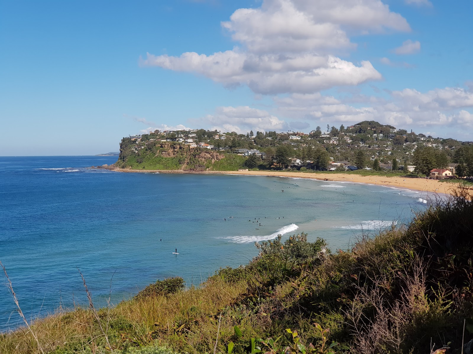 Foto von Bilgola Beach - beliebter Ort unter Entspannungskennern
