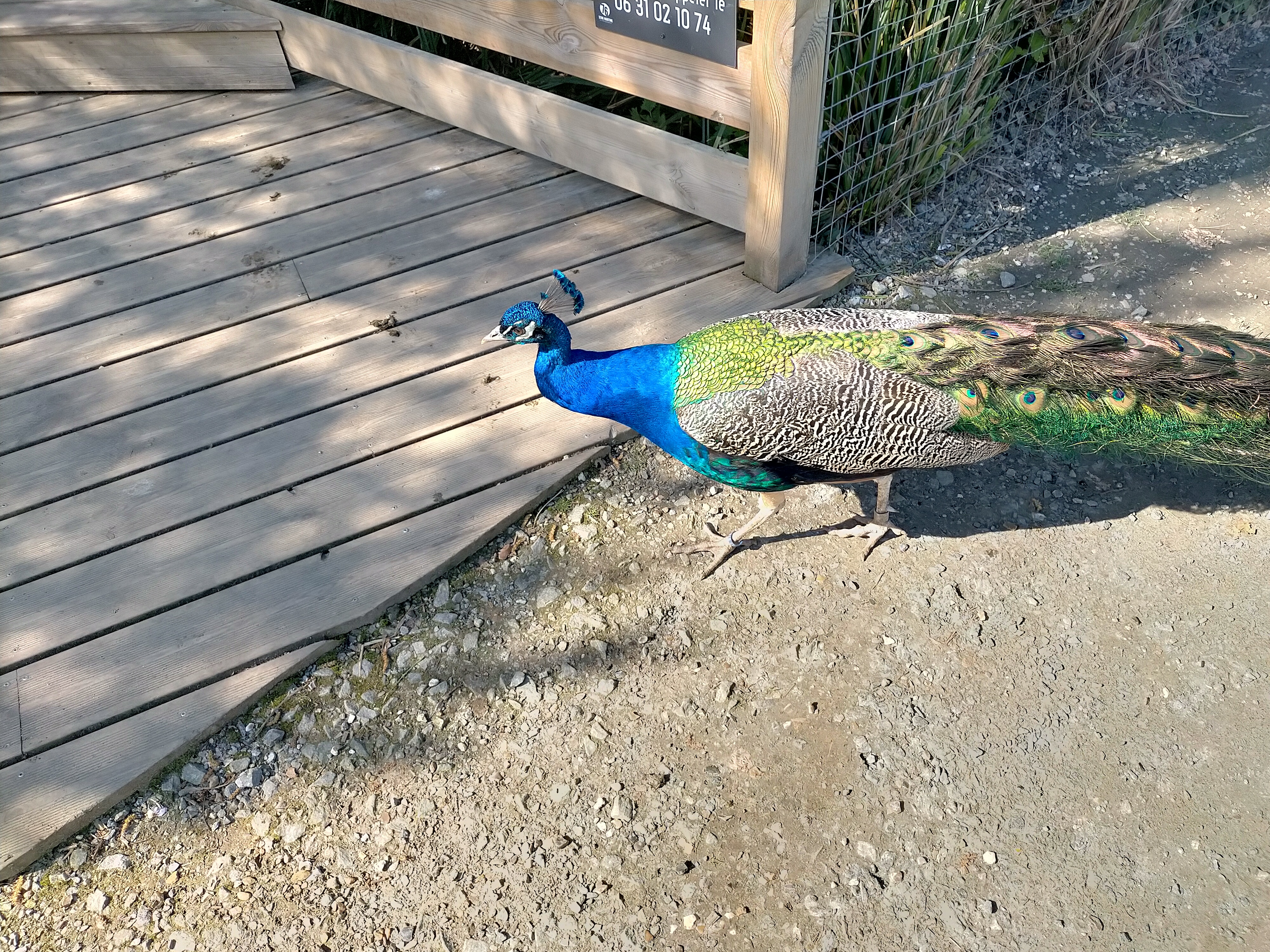 Photo n° 2 de l'avis de Emeline.A fait le 20/04/2023 à 13:35