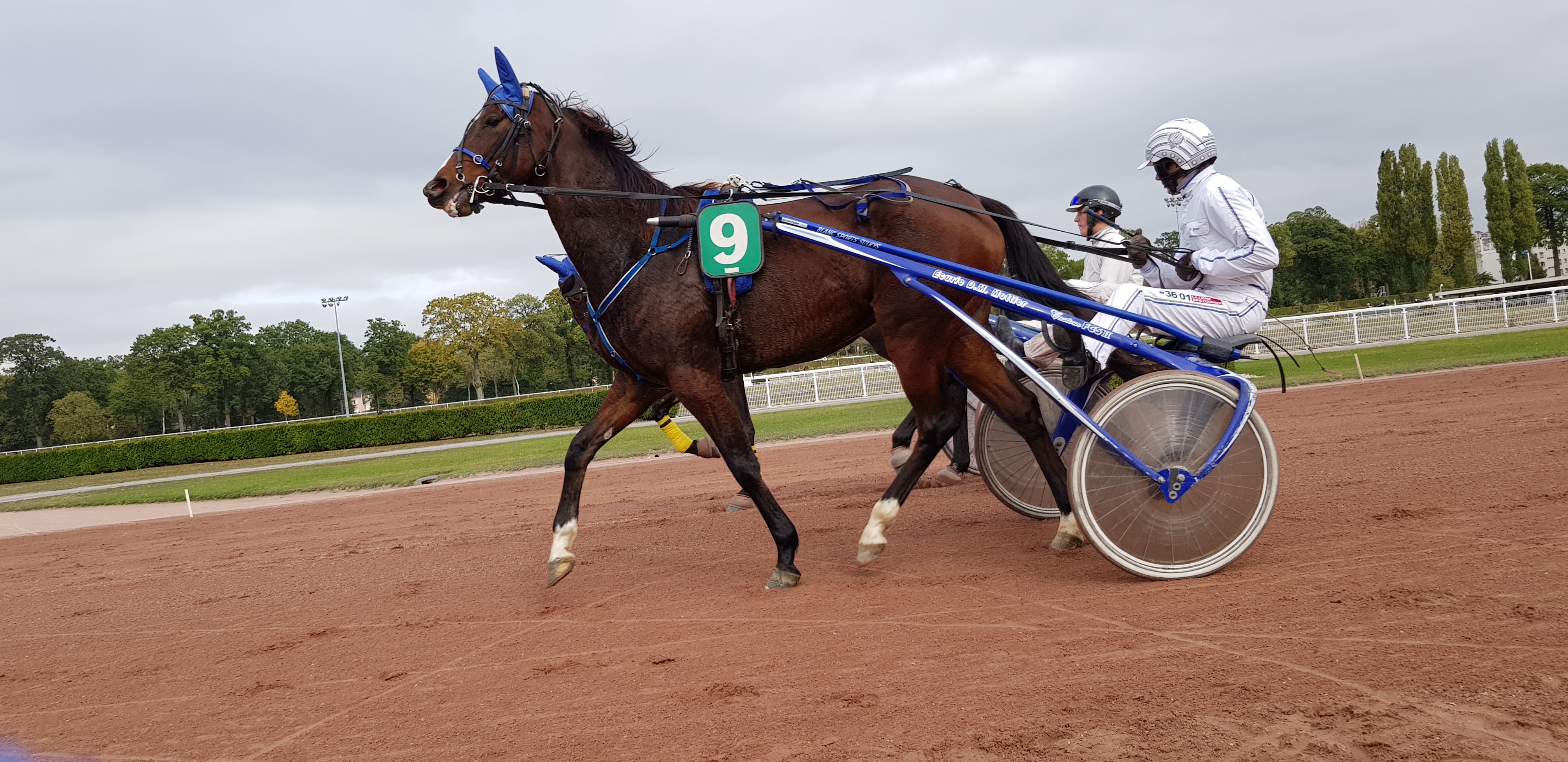 Photo n° 14 de l'avis de Nicole.r fait le 23/10/2018 à 20:46