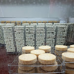 Photo n° 9 de l'avis de juste.o fait le 06/09/2023 à 10:22 pour E. Graindorge Fromagerie à Livarot-Pays-d'Auge