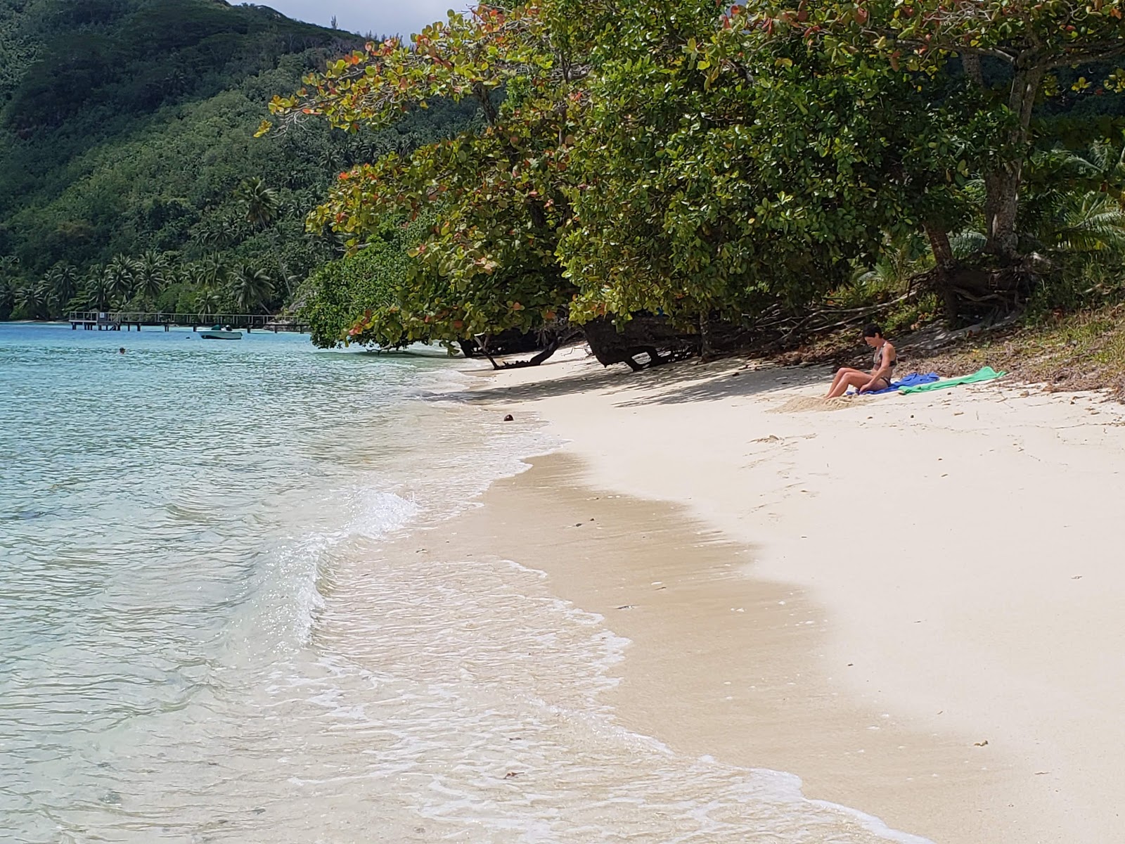 Fotografija Avea Beach udobje območja