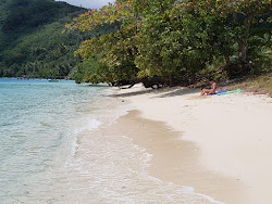 Photo de Avea Beach et le règlement