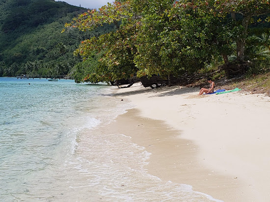 Avea Beach