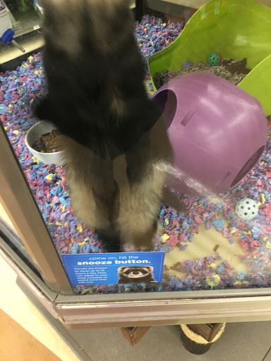 Pet Supply Store «Petco Animal Supplies», reviews and photos, 2250 Petrie Ln #518, Lanham, MD 20706, USA