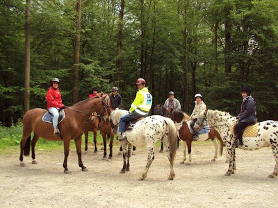ASSOCIATION EQUESTRE DES RANDONNEURS DE MORMAL à Berlaimont