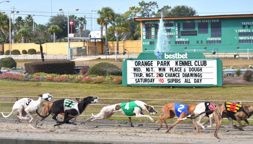 Casino «bestbet Orange Park», reviews and photos, 455 Park Ave, Orange Park, FL 32073, USA