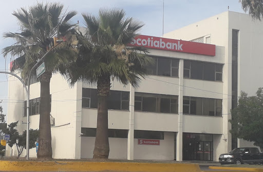 Scotiabank Francisco Coss