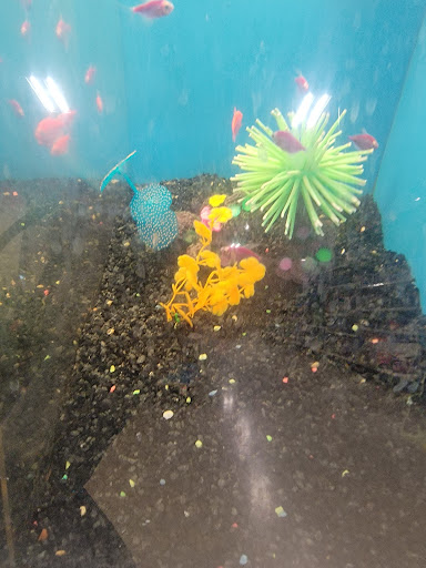 Pet Supply Store «Petco Animal Supplies», reviews and photos, 8100 W Crestline Ave d, Littleton, CO 80123, USA