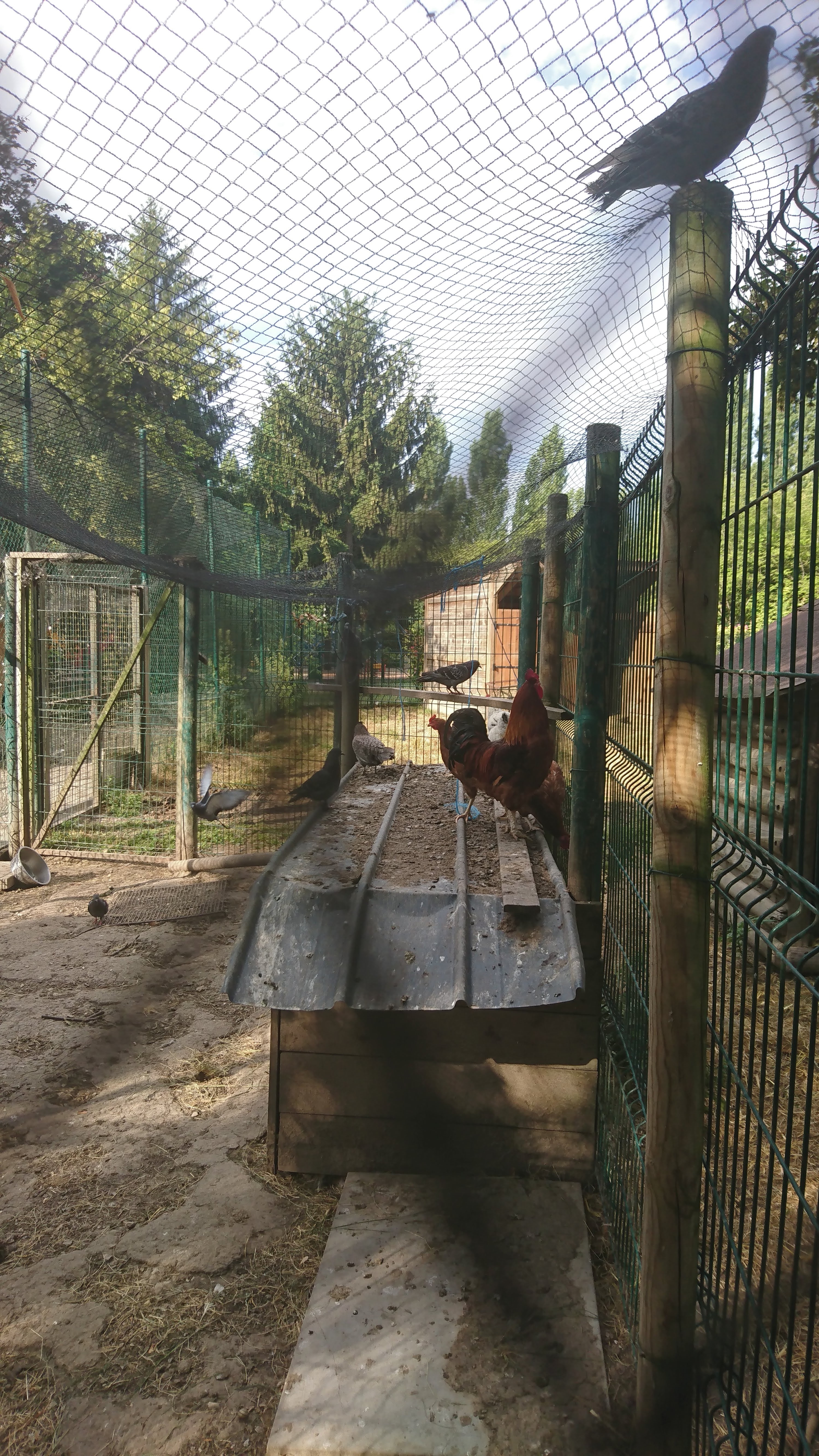 Photo n° 5 de l'avis de Michelle.� fait le 01/08/2018 à 05:53