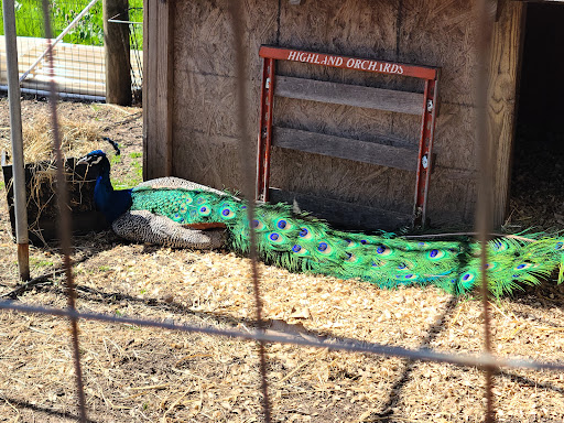 Produce Market «Highland Orchards Farm Market», reviews and photos, 1431 Foulk Rd, Wilmington, DE 19803, USA