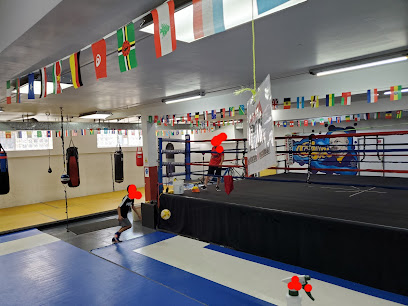 CHICAGO YOUTH BOXING CLUB