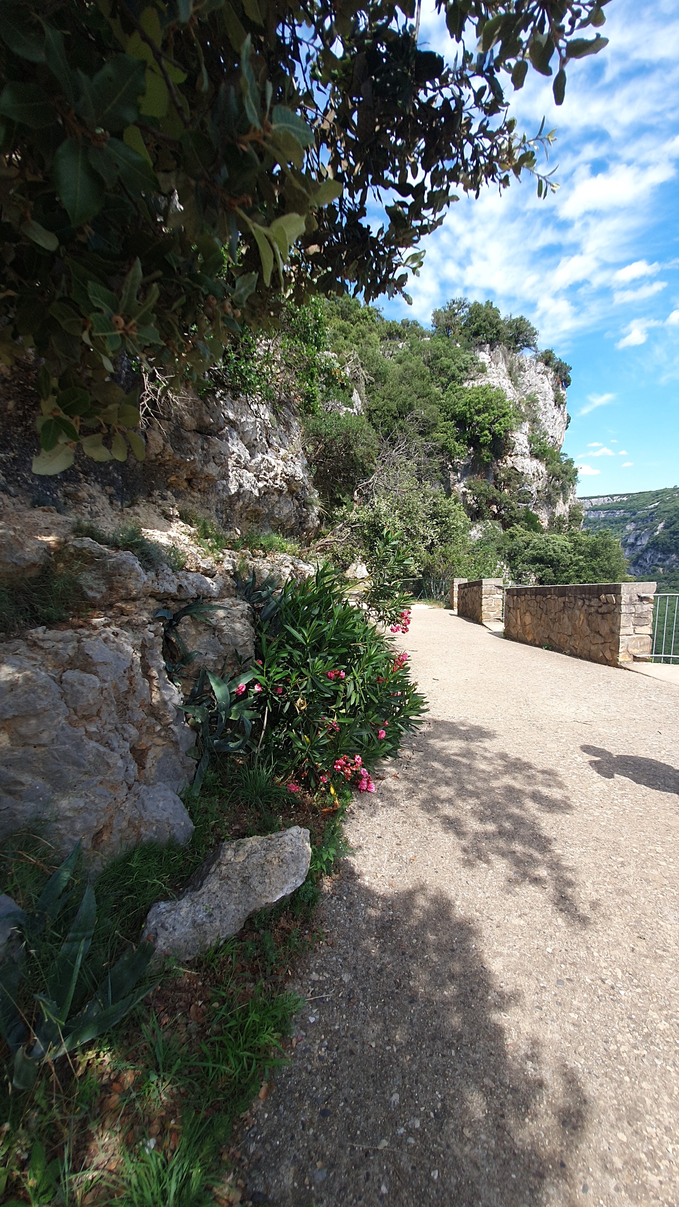 Photo n° 4 de l'avis de Isabelle.e fait le 08/07/2023 à 08:14