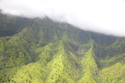 Gym «Planet Fitness», reviews and photos, 53 Marrows Rd, Newark, DE 19713, USA