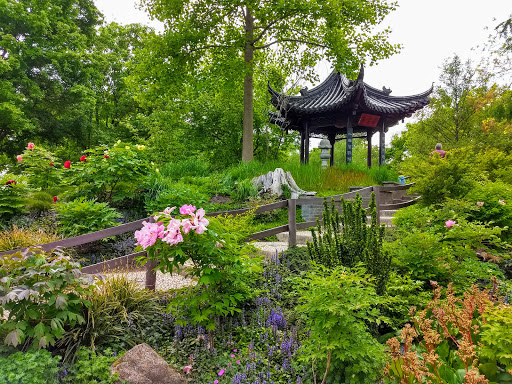 Chinese Tea Garden