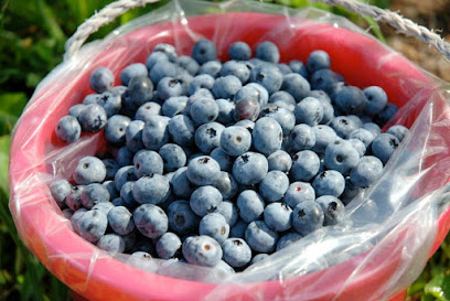 Liberty Blueberry Farms-2021 Season Ended