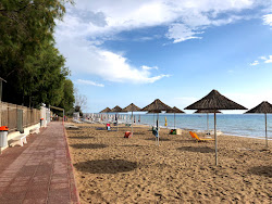 Foto di Spiaggia di Portes area servizi