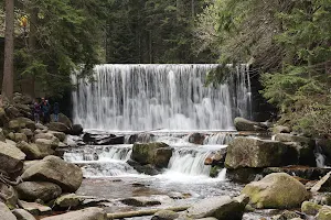 The Wild Waterfall image