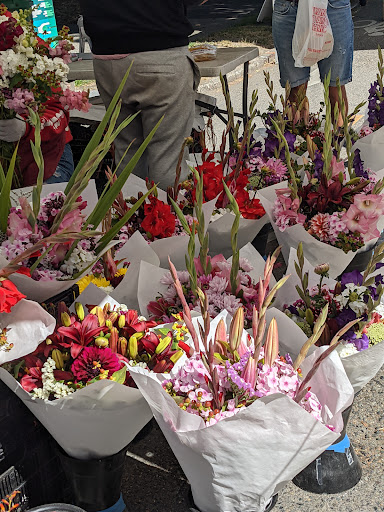 Park «Denny Park», reviews and photos, 100 Dexter Ave N, Seattle, WA 98109, USA