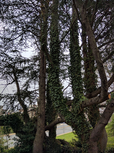 Museum «The George Washington Masonic National Memorial», reviews and photos, 101 Callahan Dr, Alexandria, VA 22301, USA