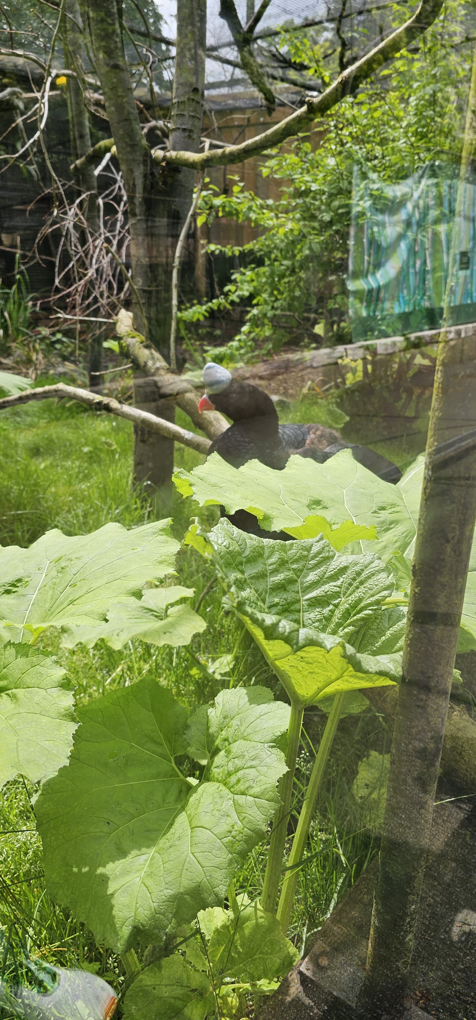 Photo n° 15 de l'avis de yaya.a fait le 15/05/2023 à 16:30