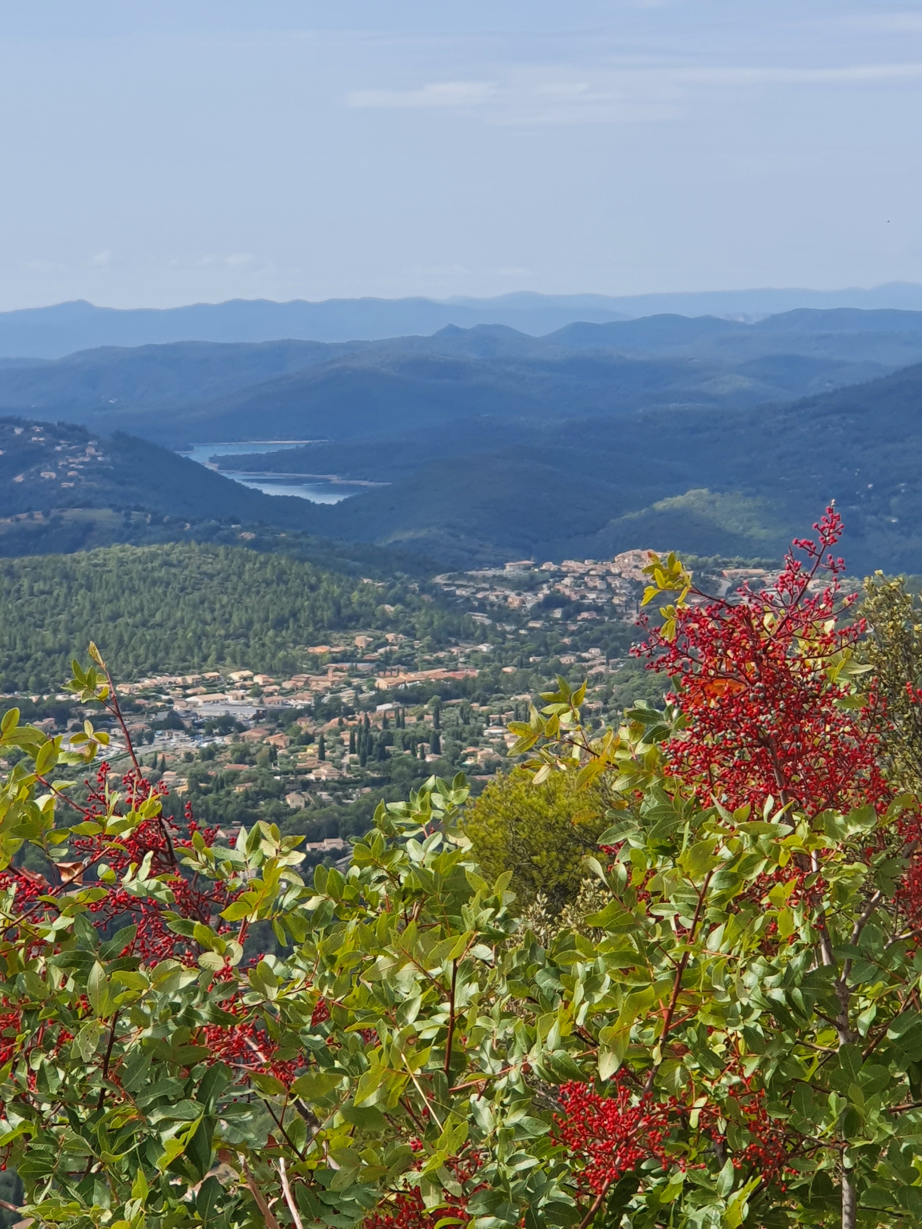 Photo n° 12 de l'avis de DELBARRE.R fait le 28/09/2022 à 15:03