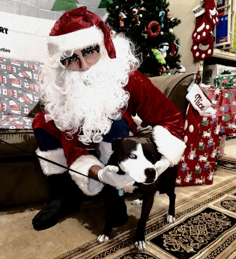 Pet Supply Store «PetSmart», reviews and photos, 7850 W Commercial Blvd, Lauderhill, FL 33351, USA