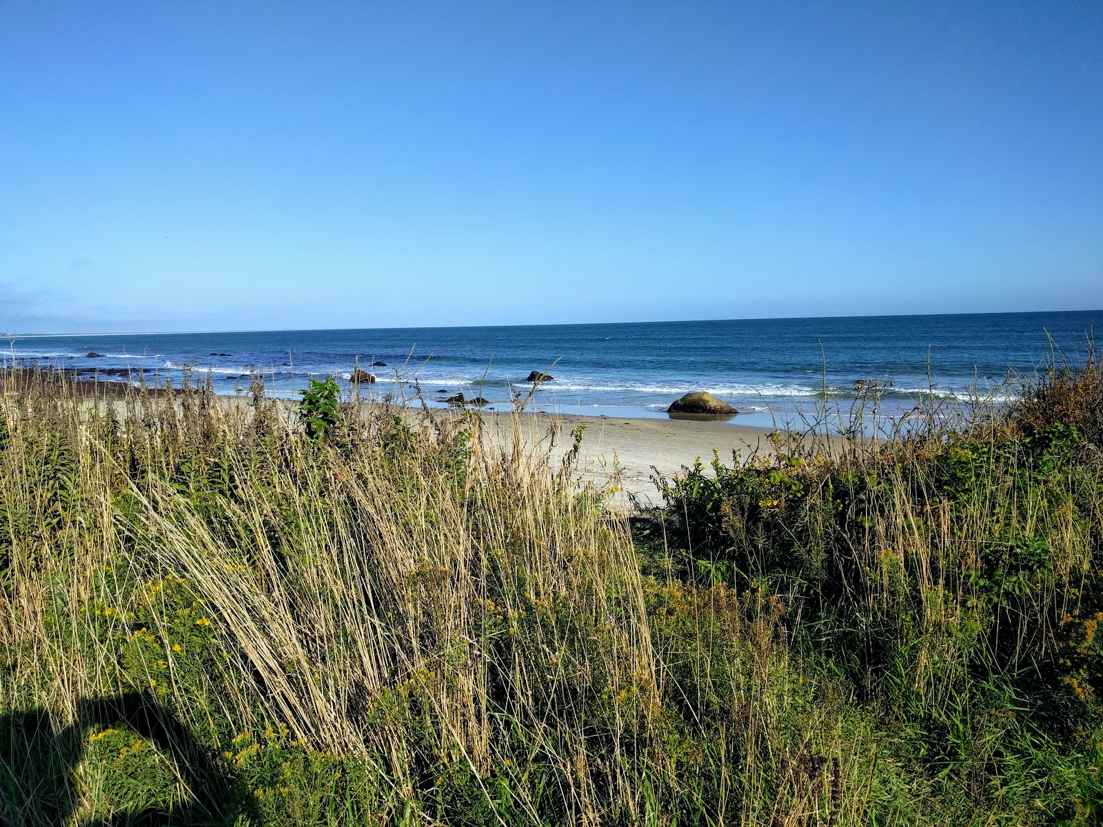 Foto de Squibnocket Beach com meios de comunicação nível de limpeza