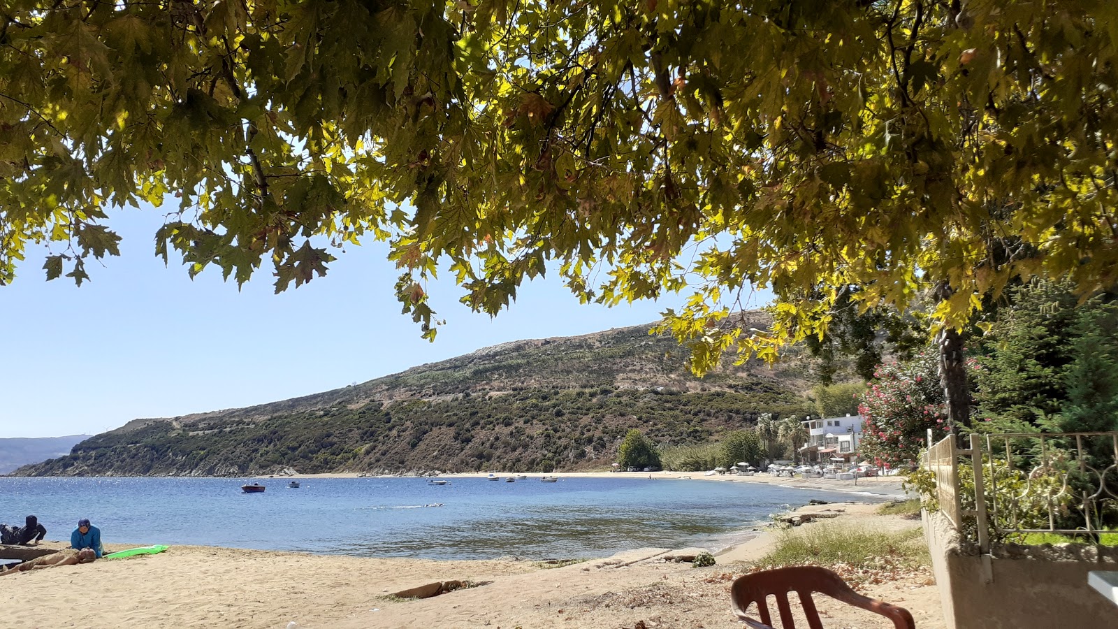 Zdjęcie Tanasa Sahil beach z poziomem czystości wysoki