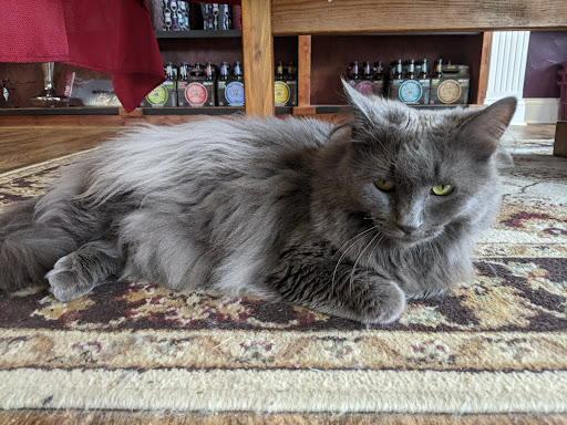 Winery «Wyldewood Cellars Winery», reviews and photos, 218 E Lincoln St, St Joseph, IL 61873, USA