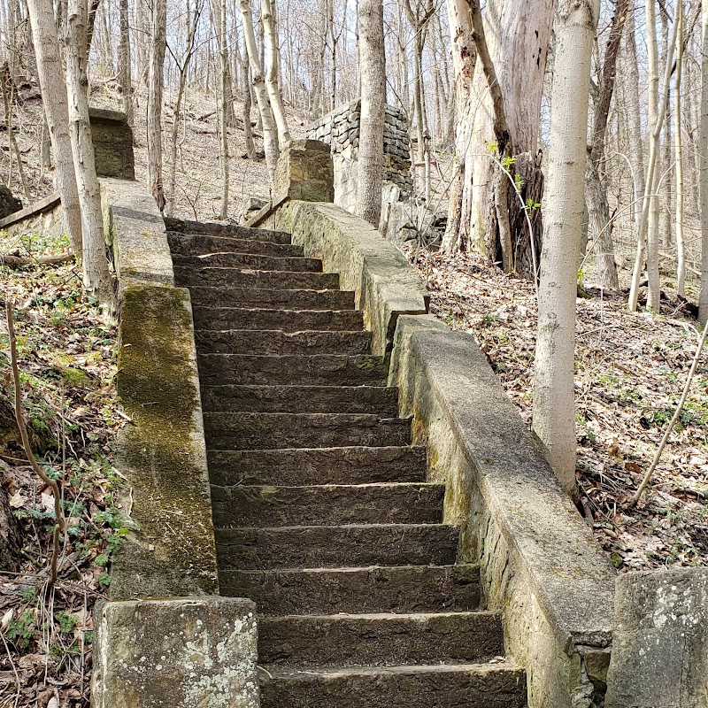 Beatty Park