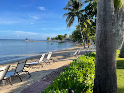 Half Moon Beach'in fotoğrafı ve yerleşim