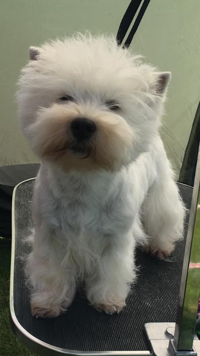 Kennel Fjodor - West Highland White terriers