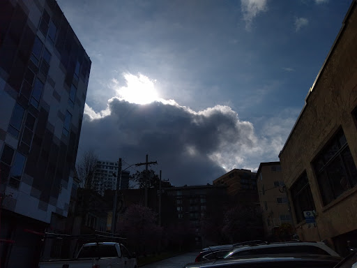 Coffee Shop «Kaladi Brothers Coffee», reviews and photos, 517 E Pike St, Seattle, WA 98122, USA