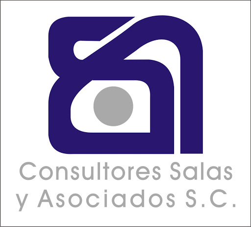 Consultores Salas y Asociados S.C.