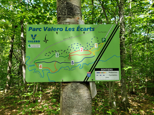 National forest Québec