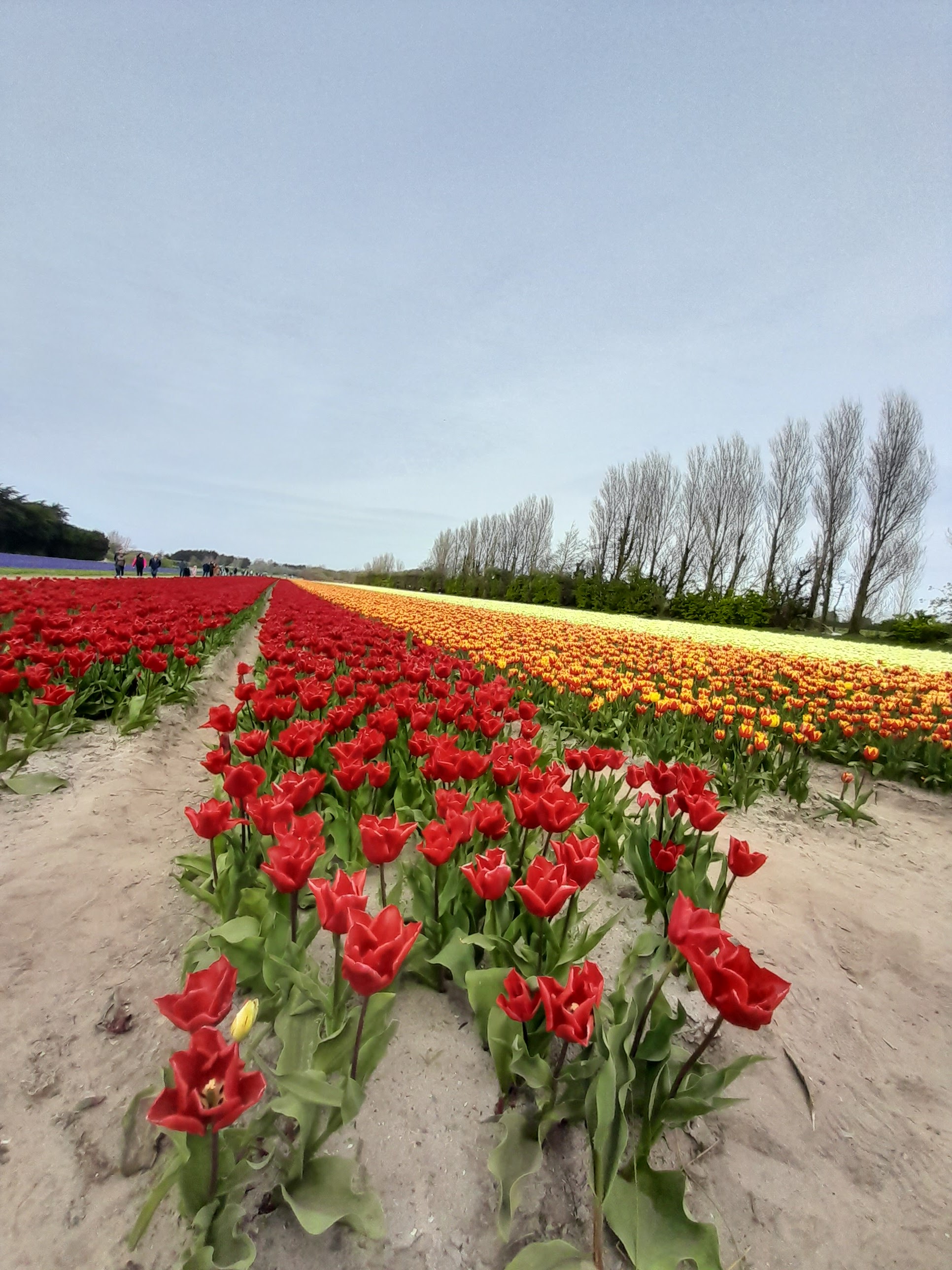 Photo n° 2 de l'avis de Amélie.e fait le 20/04/2023 à 05:00