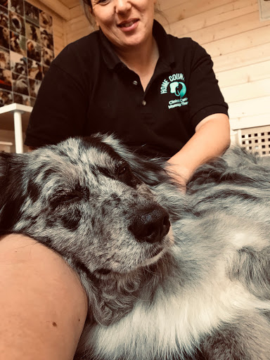 Home Counties Clinical Canine Massage Therapy