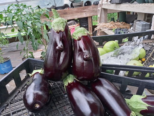 Farm «Bishop Farm & Winery Inc», reviews and photos, 500 S Meriden Rd, Cheshire, CT 06410, USA