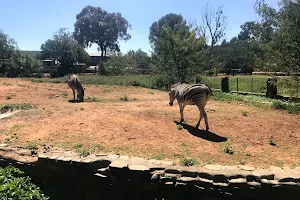 Bloemfontein Zoo image