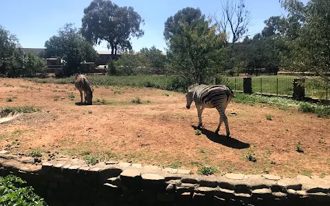 Bloemfontein Zoo image