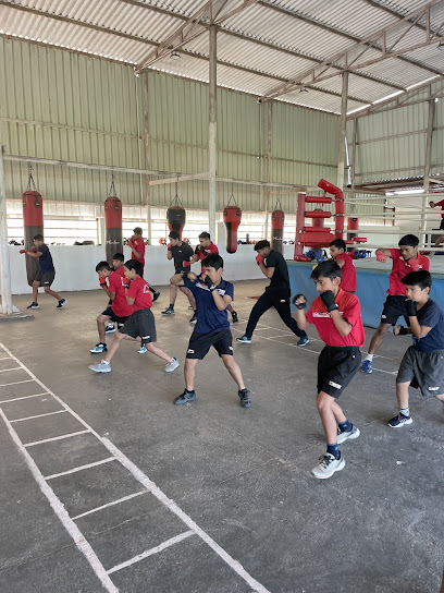 Manoj Kumar Boxing Academy