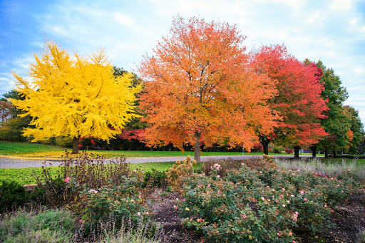 Memorial Park «Pinelawn Memorial Park and Garden Mausoleums», reviews and photos, 2030 Wellwood Ave, Farmingdale, NY 11735, USA