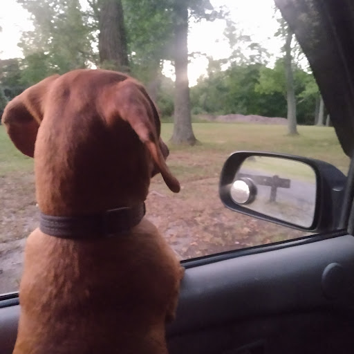 Park «Fords Park», reviews and photos, King Georges Rd, Woodbridge, NJ 07095, USA