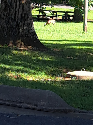 National Forest «Land Between the Lakes National Recreation Area», reviews and photos, 238 Visitor Center Dr, Golden Pond, KY 42211, USA