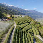 Photo n°1 de l'avis de Andy. fait le 06/05/2023 à 06:21 sur le  Avidea à Algund