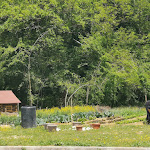 Photo n°1 de l'avis de Franca.m fait le 17/05/2019 à 12:01 sur le  Osteria Il Passo Di Fra Diavolo à Vallone