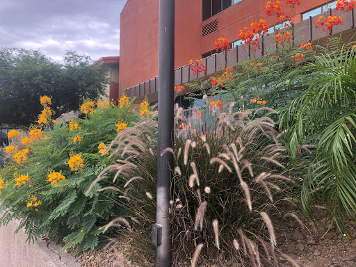 Greenbee Landscape, Inc. image