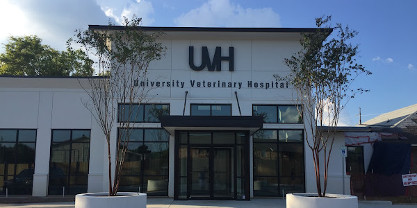 University Veterinary Hospital